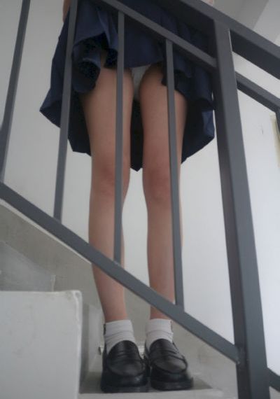成全视频免费在线观看